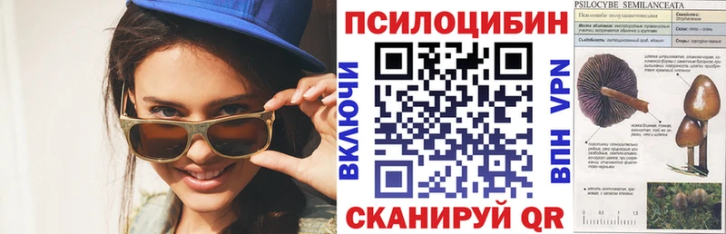 Псилоцибиновые грибы Psilocybe blacksprut как зайти Камызяк